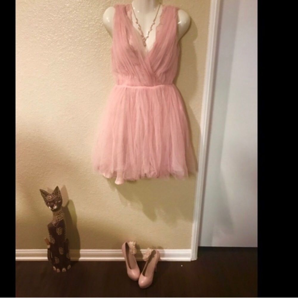 Zara blush / pink tulle sleeveless lace dress